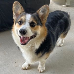 Hi!